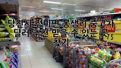 당진시 정미면 봉생리 중고차 딜러 추천: 믿을 수 있는 곳 찾기