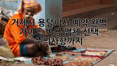 거제시 용달이사 예약 완벽 가이드: 비용, 업체 선택, 주의사항까지!